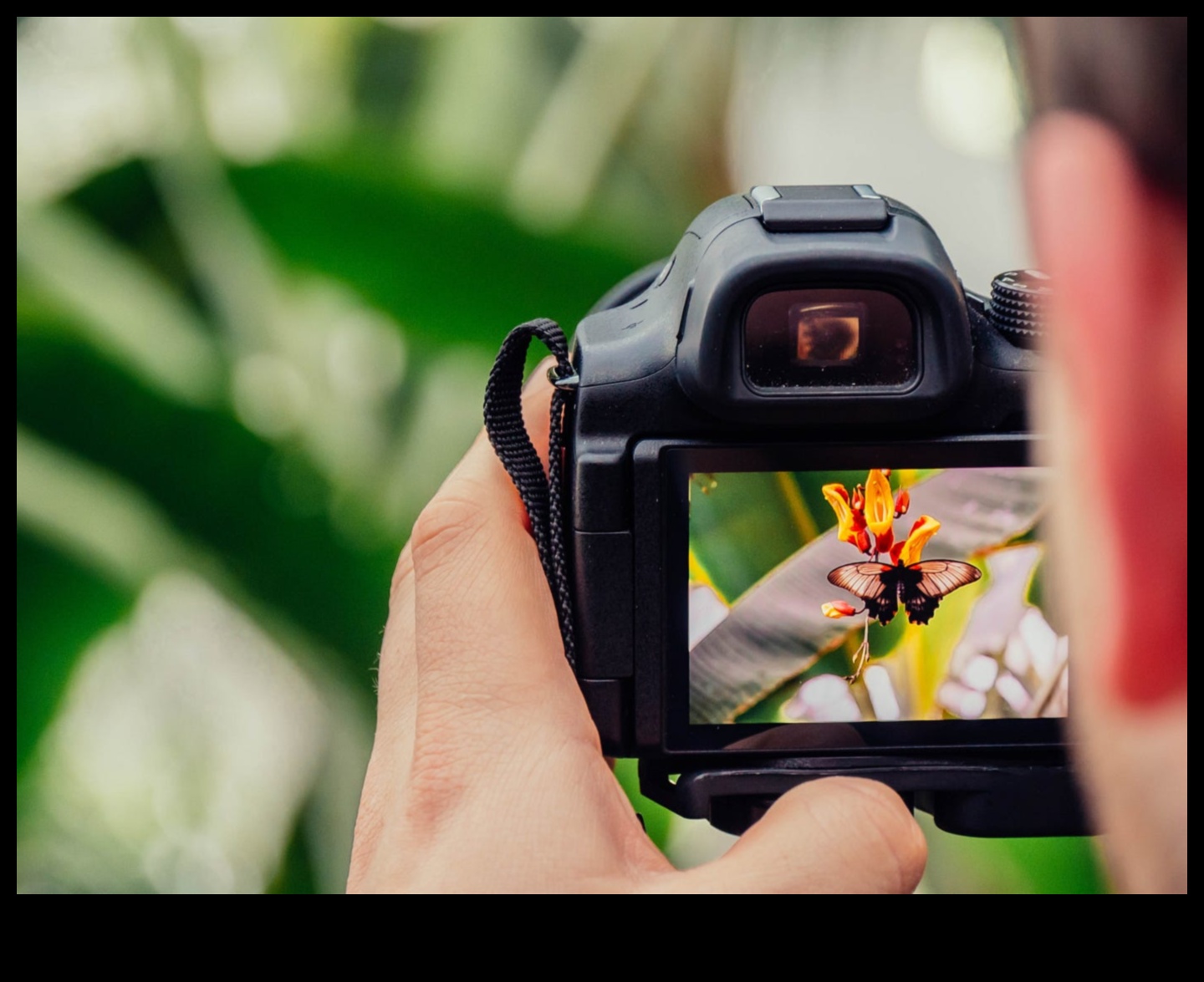 Momente perfecte pentru imagini: sfaturi esențiale pentru fotografie pentru toți