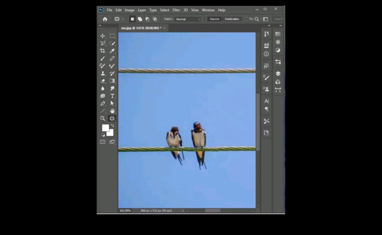 Pixel Perfection: Crearea de capodopere cu Photoshop